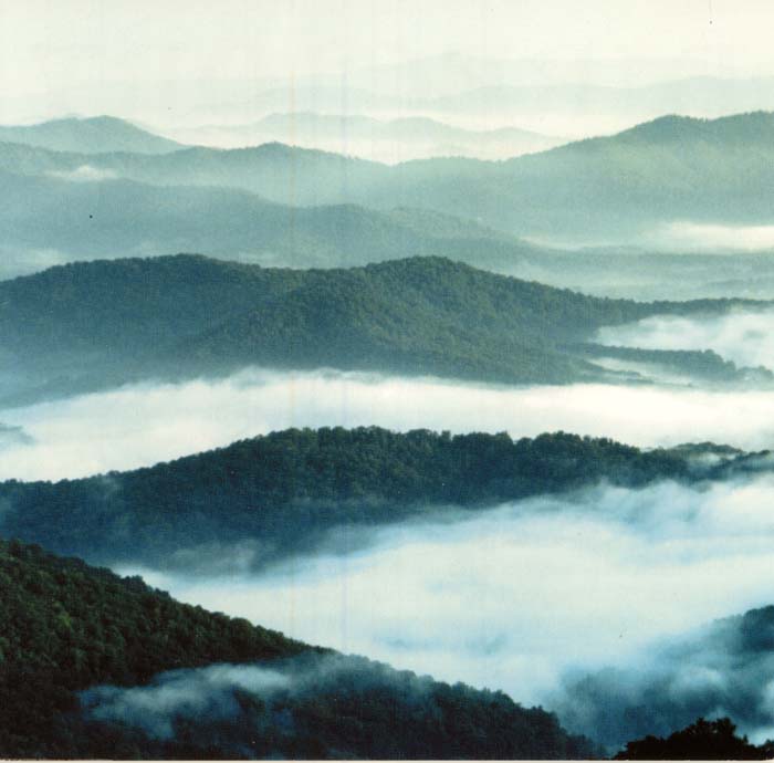 Morning mist layered across the ridges of the Blue Ridge Mountains
