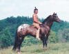 Great great grandson of Red Eagle's Peacock, Whata Dreamfinder