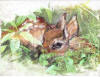 Original painting by Suzanne