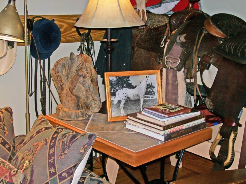 The Appaloosa Room