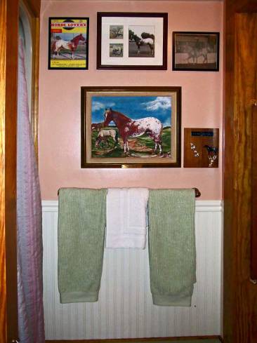 The Appaloosa Room