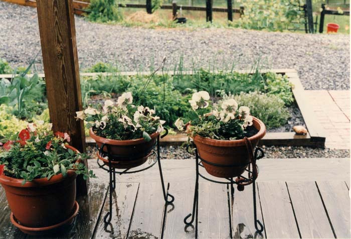 Kitchen Herb Garden