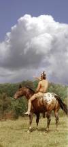 Appaloosa with Jose