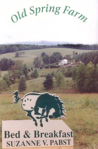 Old Spring Farm Appaloosas