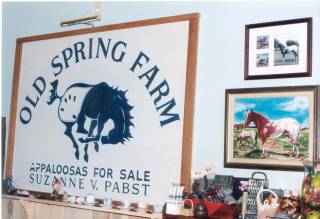 Old Spring Farm Appaloosas