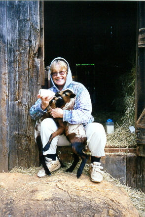 Old Spring Farm Appaloosas