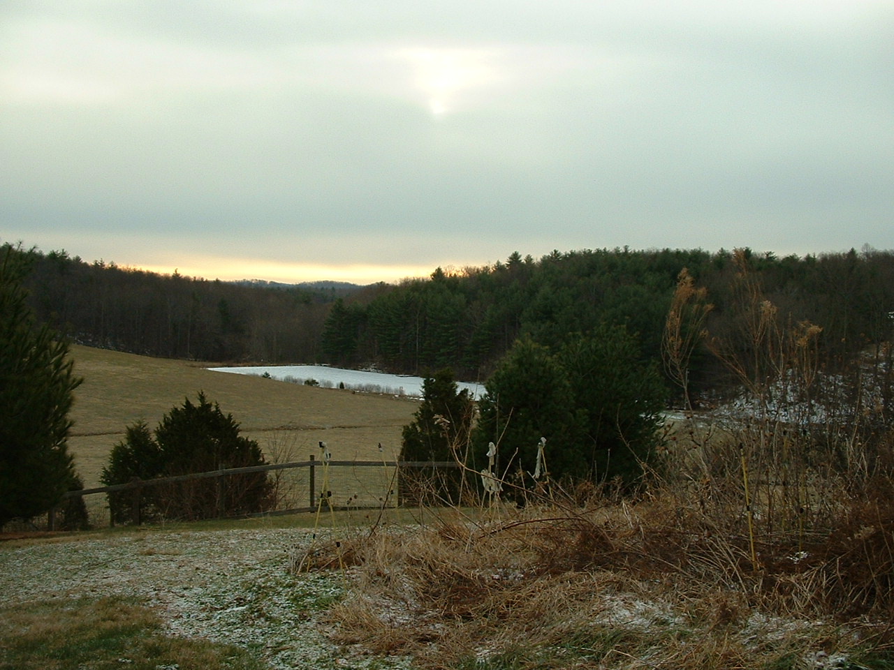 Evening light over the fields and pond at Old Spring Farm