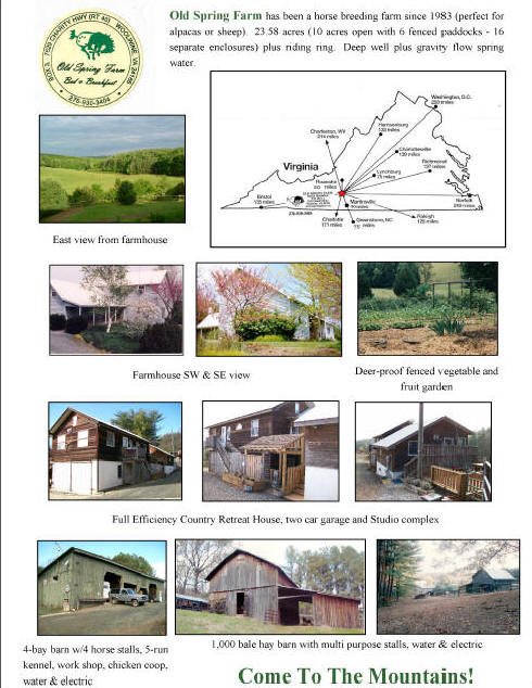 Bed and breakfast for sale, Floyd, Woolwine, Ferrum, Virginia
