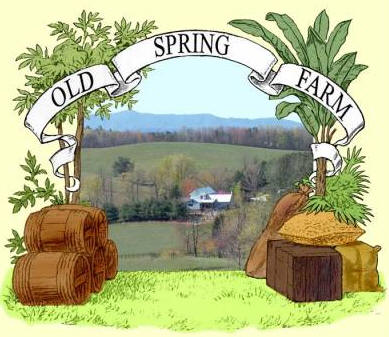 Old Spring Farm Bed and Breakfast, Virginia