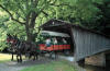 Old Spring Farm photo tour