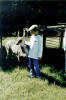 Old Spring Farm photo tour