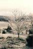 Old Spring Farm photo tour