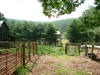 Old Spring Farm photo tour