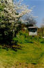 Old Spring Farm photo tour