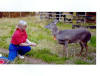 Old Spring Farm photo tour