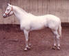 Old Spring Farm photo tour