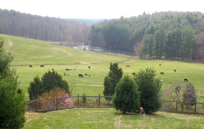Spring view of Doctor's Pond