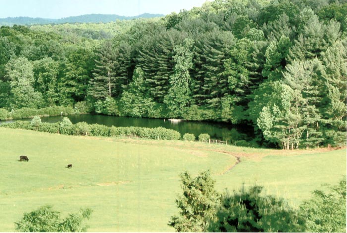 Summer view of Doctor's Pond