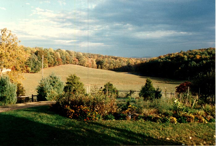 Fall view of Doctor's Pond