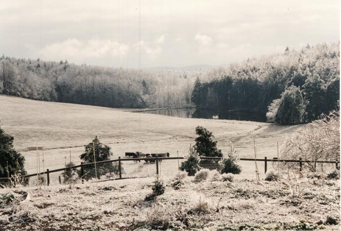 Winter view of Doctor's Pond